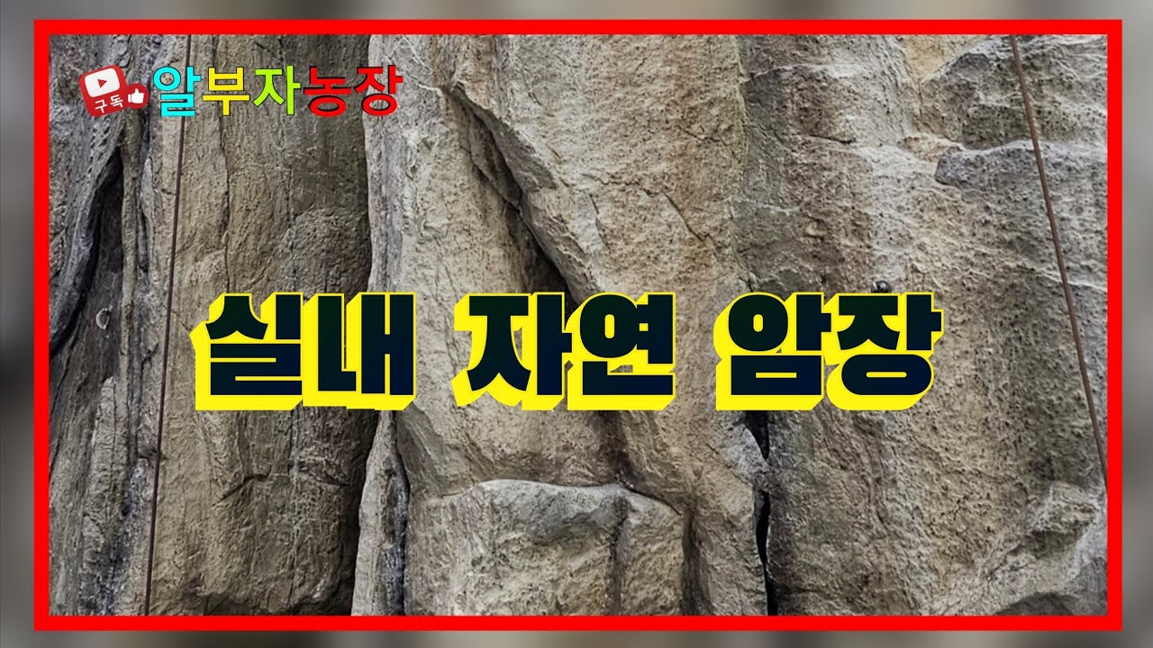실내 자연 암장