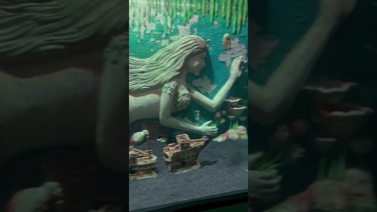 Fun World Aquarium Bangalore 