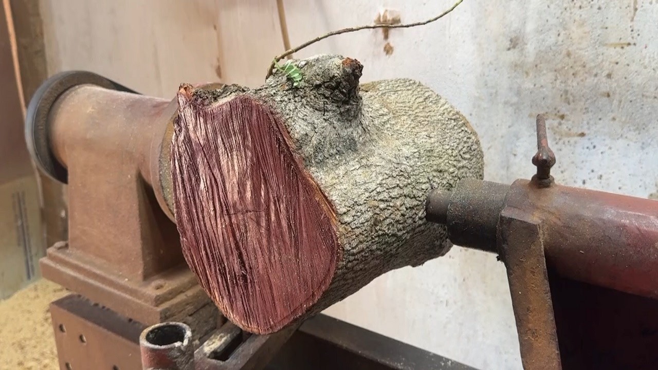 Craft Woodturning Ideas || Turn Tree Branches Into Unique Works