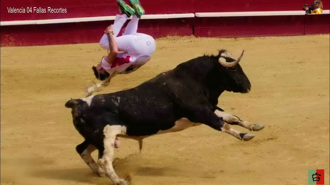 VALENCIA 04 FALLAS Campeonato Recortes