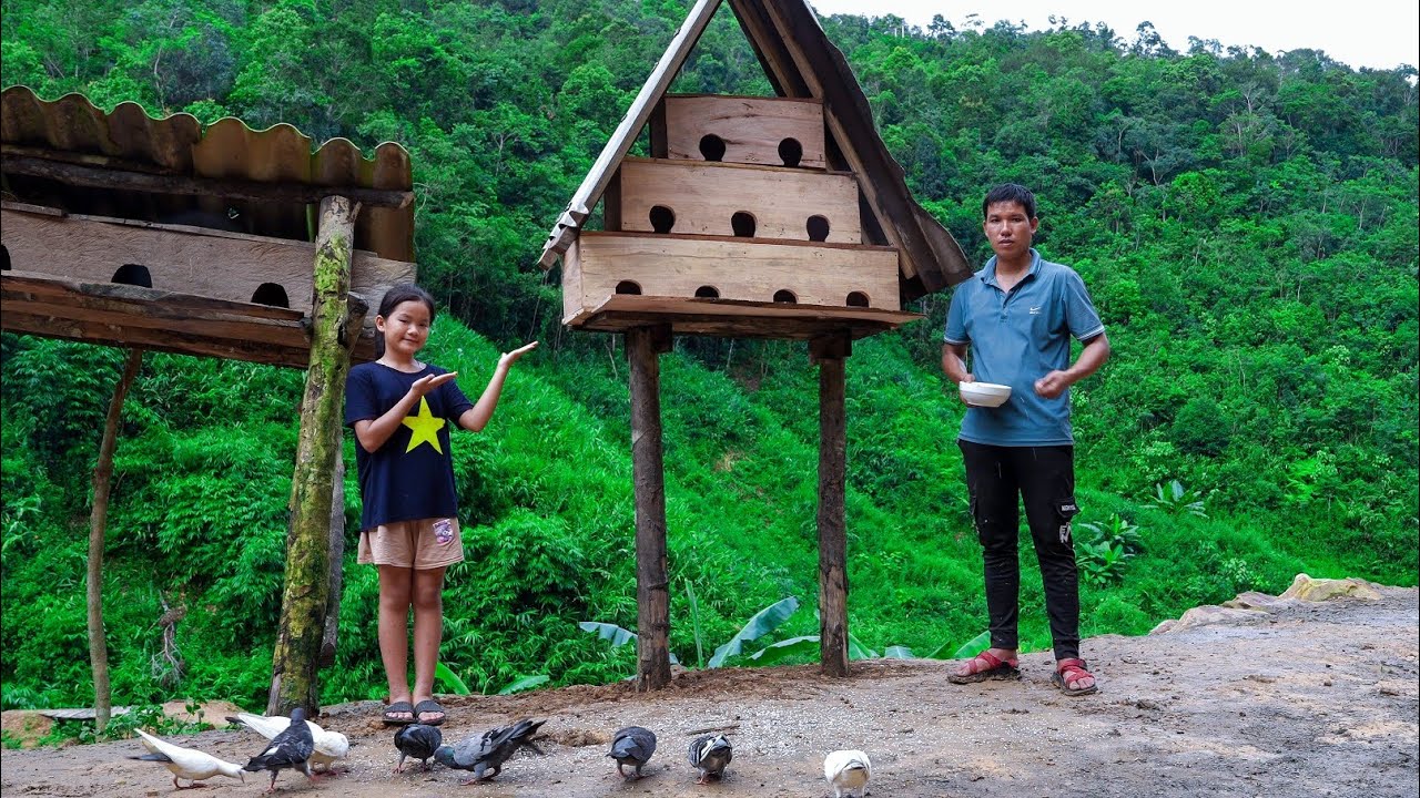 Heavy Rain On The Farm, Upgrade The Pigeon Coop | Family Farm