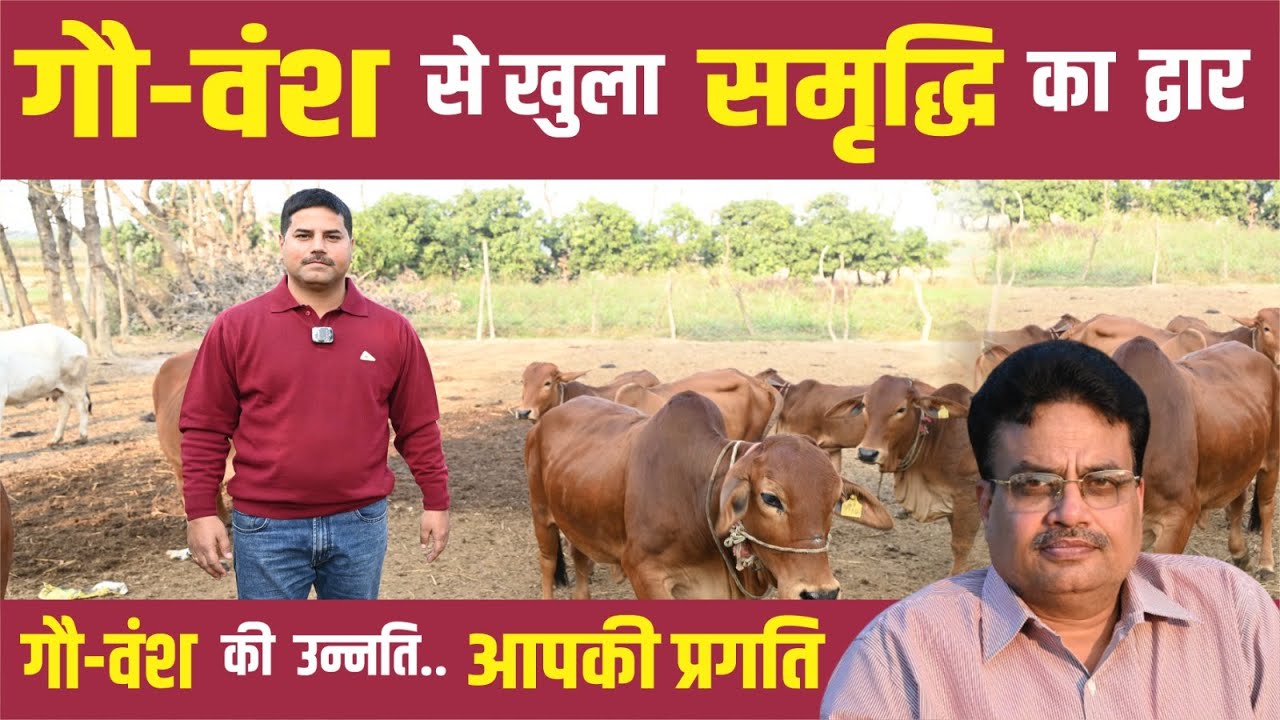 बेहतर दुग्ध उत्पादन व नस्ल-सुधार केलिए रखें रिकॉर्ड गौवंश की पूरी वंशावली का- यदुवेन्द्र का फार्मूला