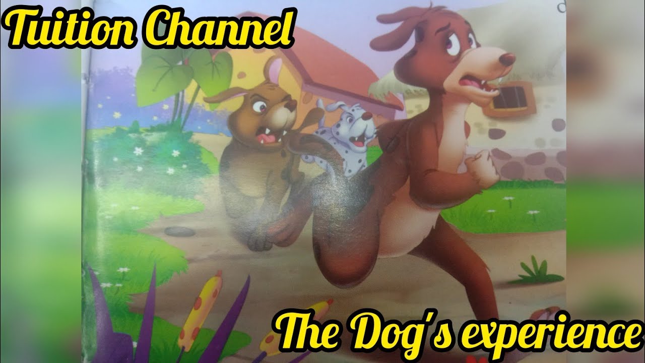 Tuition Channel !! The Dog's Experience