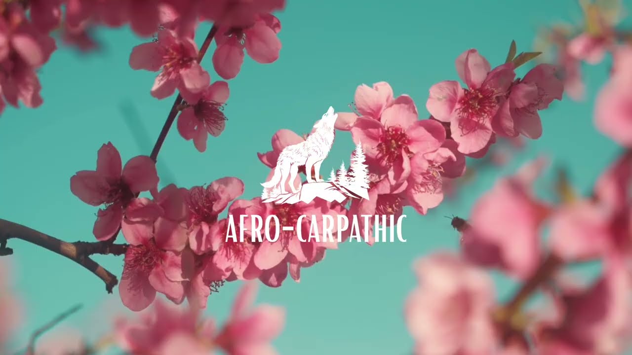 Afro-Carpathic | Flori de Mai (Official Music Video)