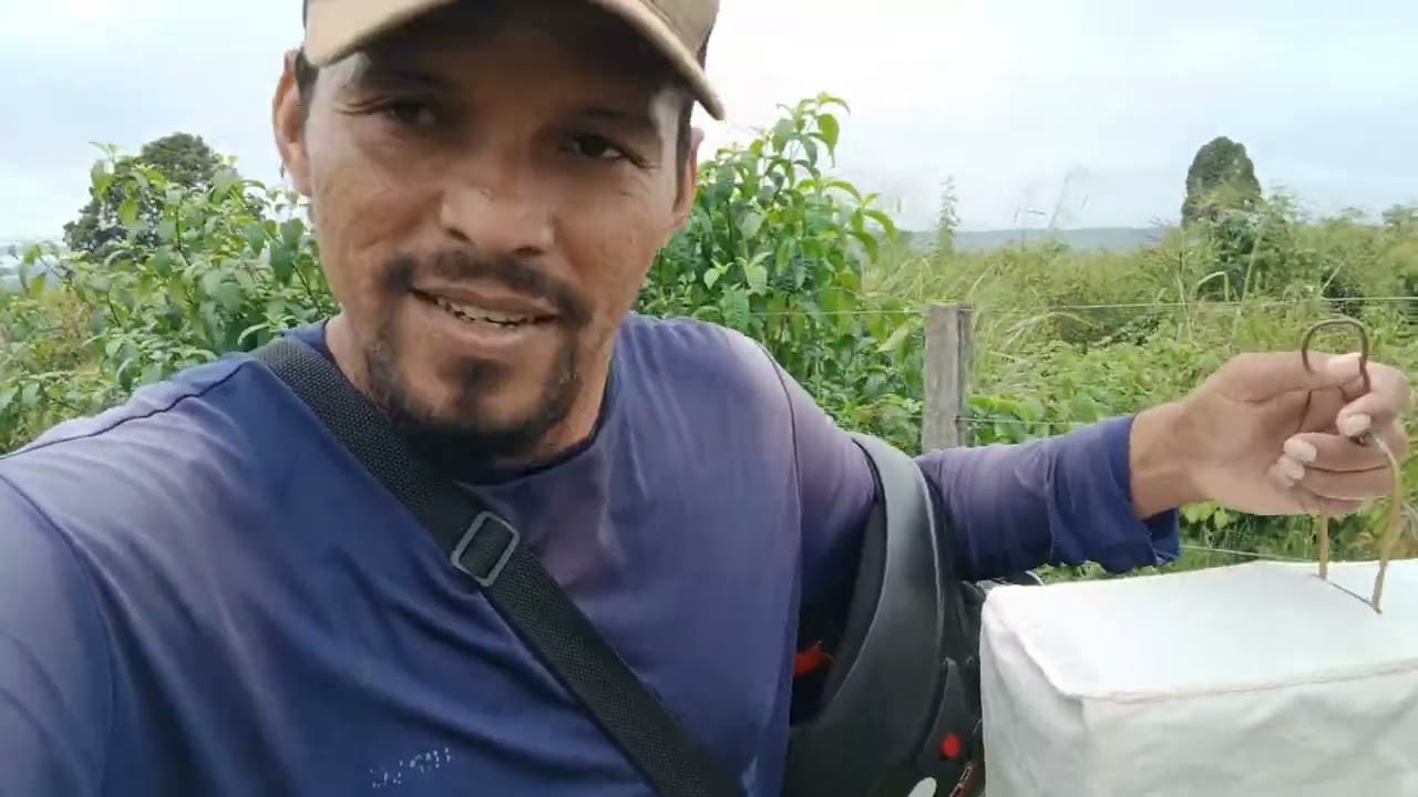 O PARDIM CANTOU BASTANTE, MAS NÃO TA DE FOGO DOBRADO, SERÁ QUE QUEBROU.?