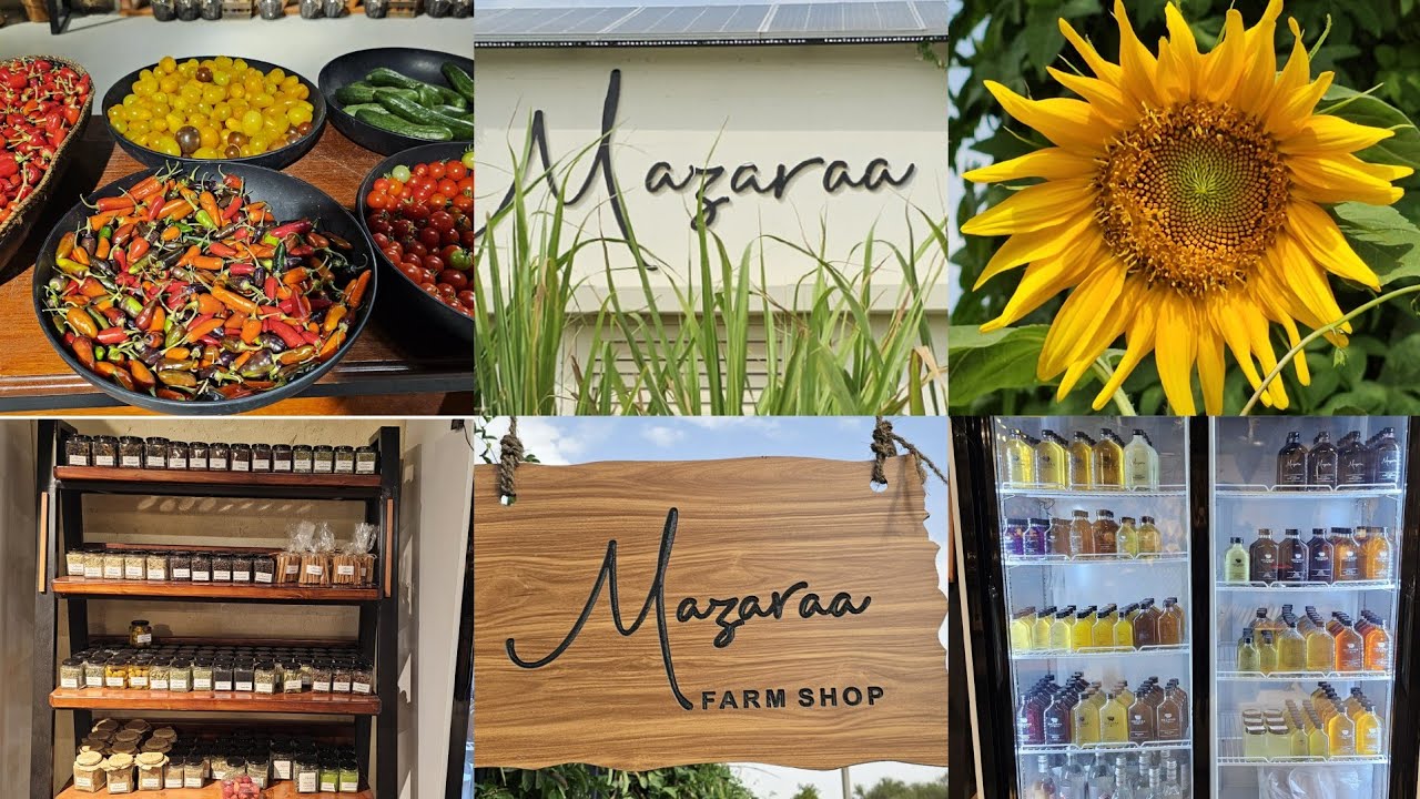 Mazaraa Farm Shop Abu Dhabi | Organic Vegetable Shop | Vegetable farm |