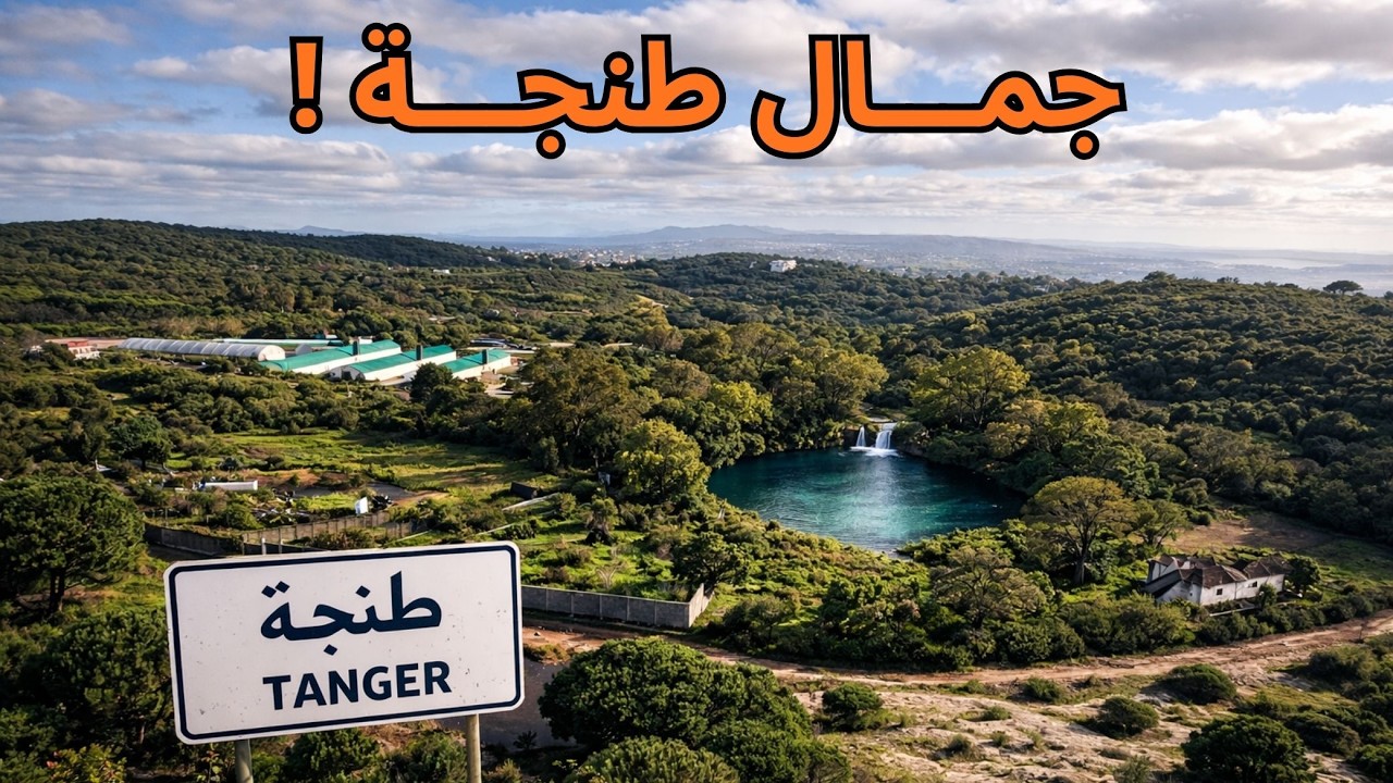 هكذا أصبحت الطبيعة في طنجة بعد التساقطات المطرية الأخيرة في عروسة الشمال 🇲🇦  #morocco #المغرب #طنجة