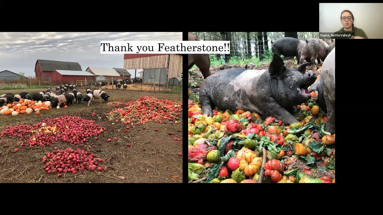 Selling Direct to Customer Whole and Half Pastured Hogs