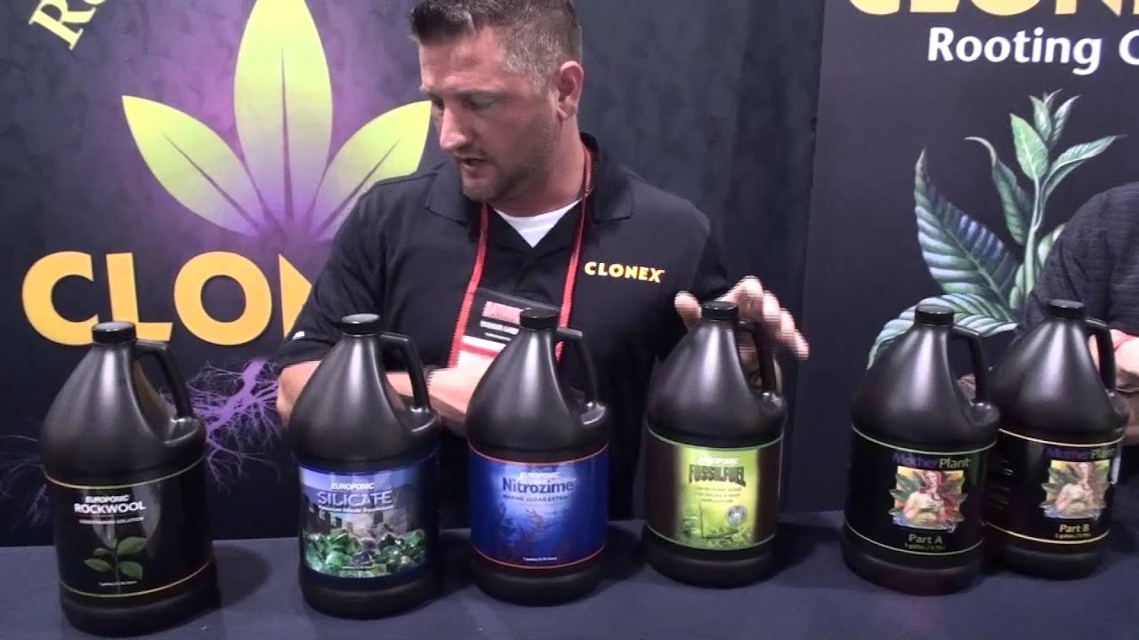 HGR Hydrodynamic International Clonex Max Yield Show, Novi Michigan 2014