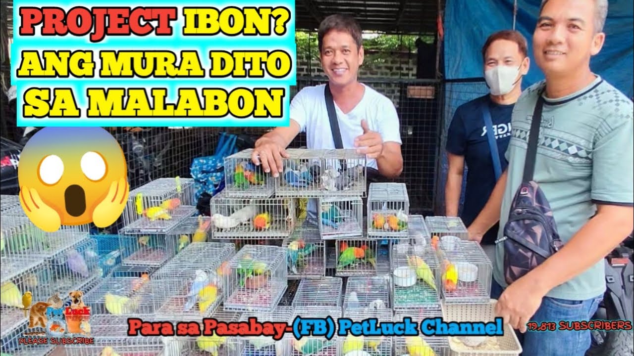 LOVEBIRDS UPDATE SA HULONG DUHAT MALABON