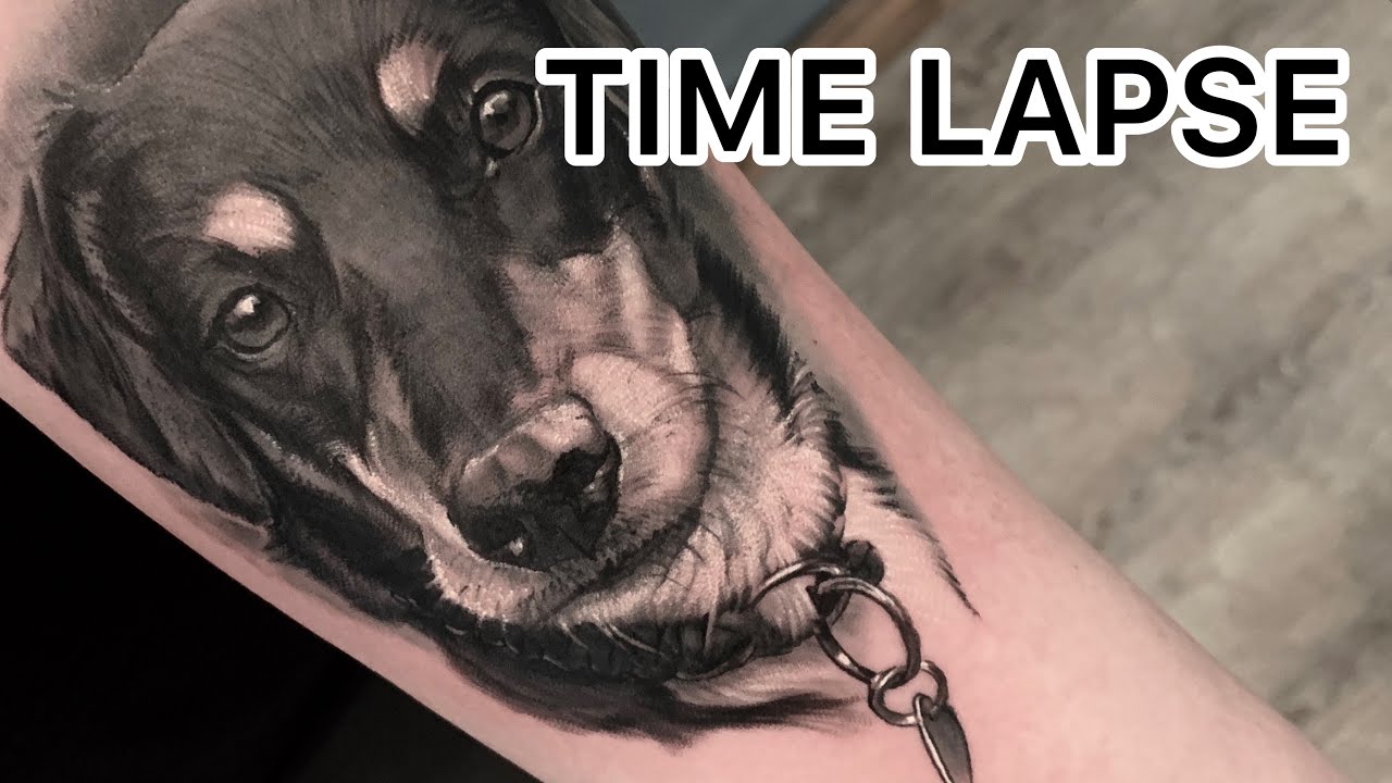 TATTOO TIME LAPSE - Dog Portrait