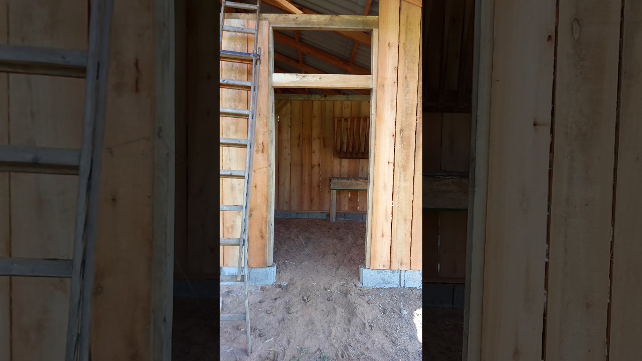 Finalizando a baia da Sandy...Parte 4#rancho #coisasdositio #cavalo #sitio #shorts