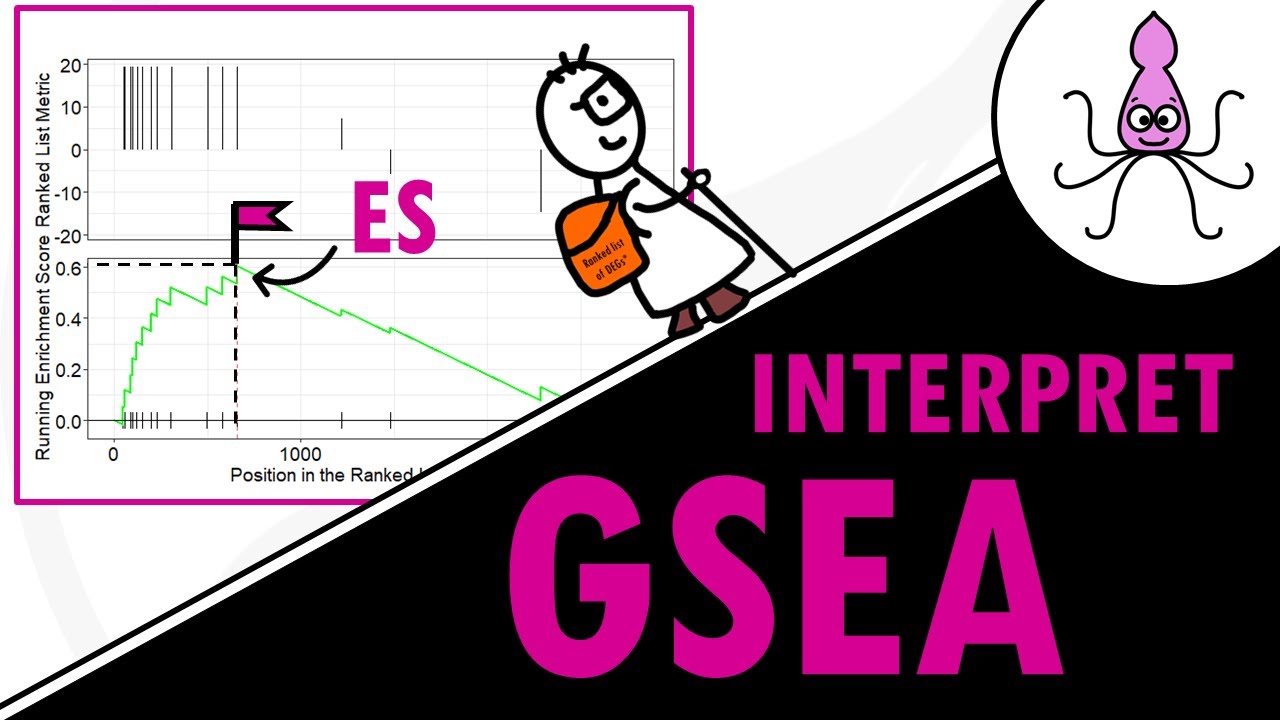 How to interpret GSEA results and plot - simple explanation of ES, NES, leading edge and more!