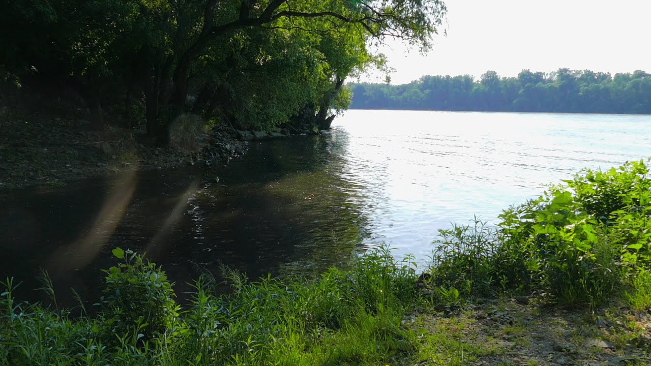 Budapest-Káposztásmegyer: Szilas patak Duna torkolata