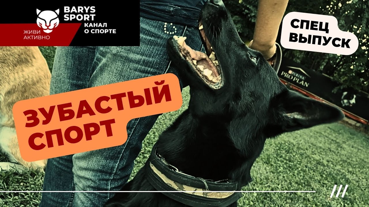 DOG SPORT: Казахстан выходит на мировой уровень
