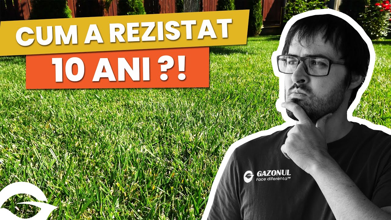 &Icirc;ntreținerea gazonului toamna: scarificare, &icirc;nsăm&acirc;nțare, fertilizare