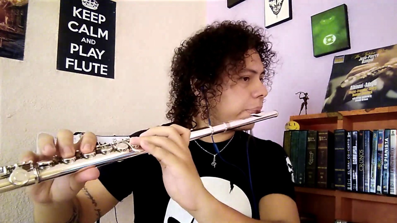 Mägo de Oz - La costa del silencio. Cover en Flauta traversa.