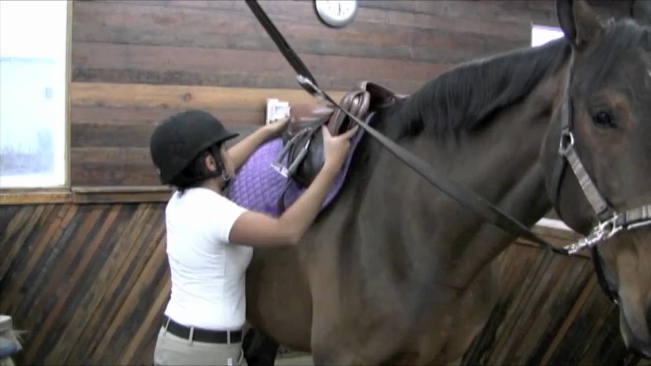 Tacking Up for *FUN*