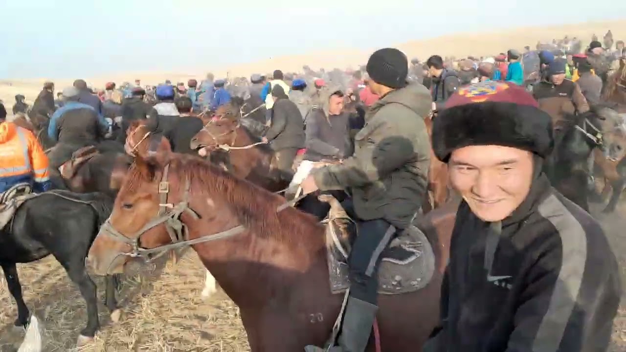 Беш  мойнок  айылындагы  улак  Топ терекдин балбандары   бир тайга салым салды