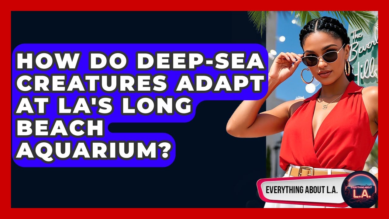 How Do Deep-sea Creatures Adapt At LA's Long Beach Aquarium? - Everything About LA