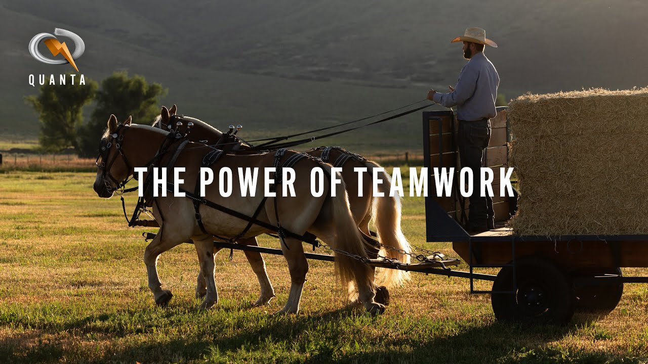 The Power of Teamwork | Quanta