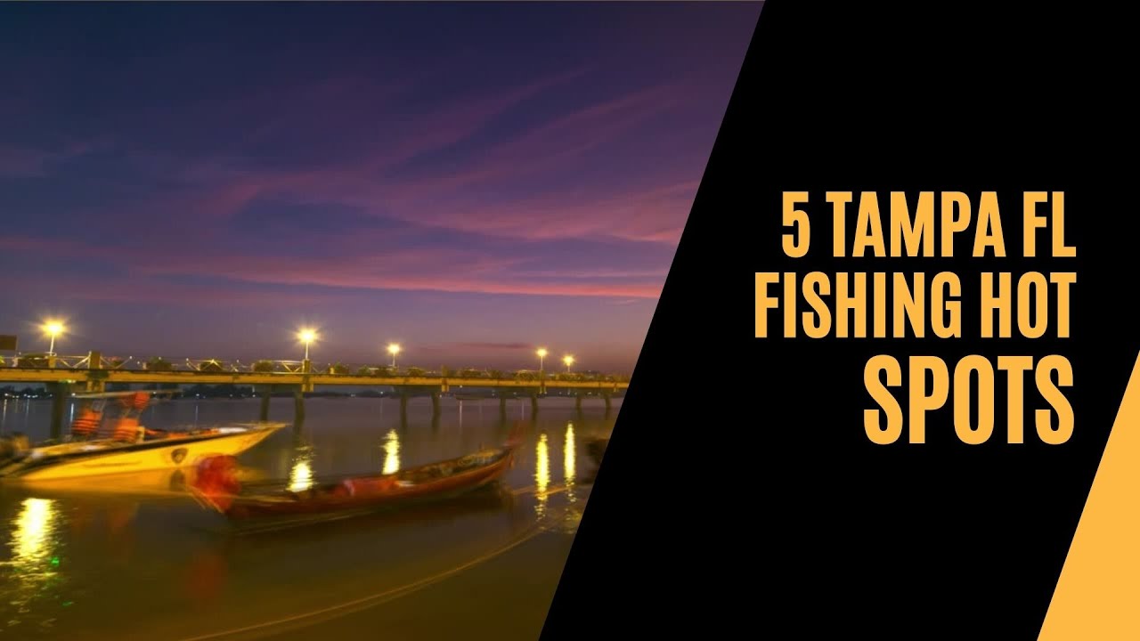 5 Tampa FL Fishing Hot Spots - iOutdoor Fishing Adventures
