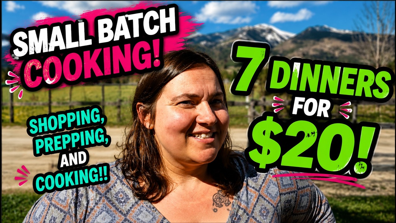 Collaboration with Southern Frugal Momma! 1 Person. 7 Dinners. $20. Can it be DONE?