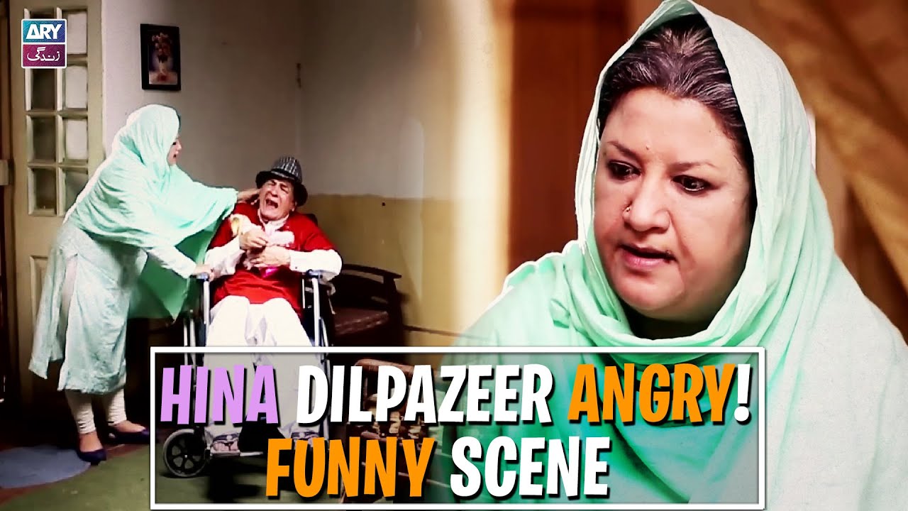 Most Hilarious Moment🤣🤣 | Hina Dilpazeer | ARY Zindagi