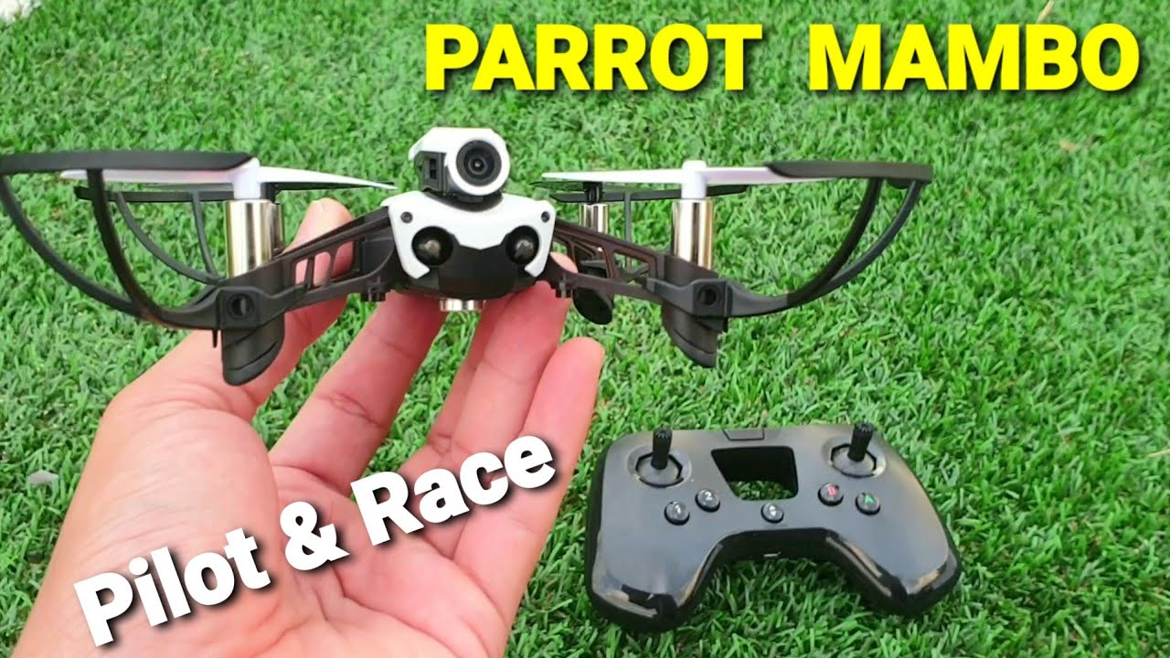 PARROT MAMBO FPV Pilot & Race || Parrot Mini Drone || Den rc