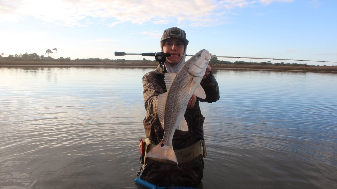 Wade fishing the lagoon at Horn Island      #redfish #marsh #district3 #hornisland #backwater 