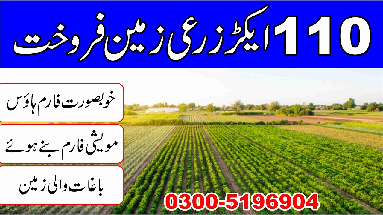 110 Acre Agriculture Land for Sale in Khushab | Farm Land Investment 2026