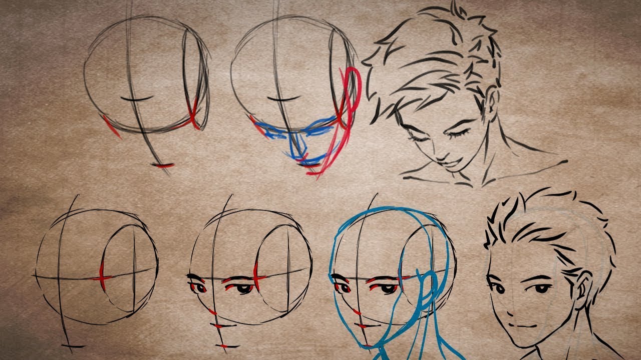 如何畫頭部各角度 Draw the head from any angle