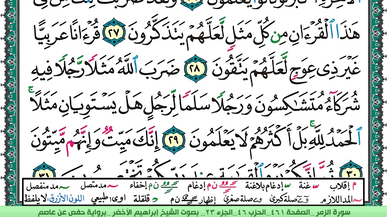 سورة الزمر الشيخ ابراهيم الاخضر