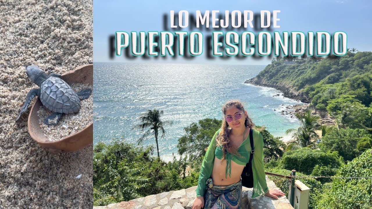 Puerto Escondido LO MEJOR DEL LUGAR Qué hacer en Oaxaca? Nado con delfines y liberación de tortugas