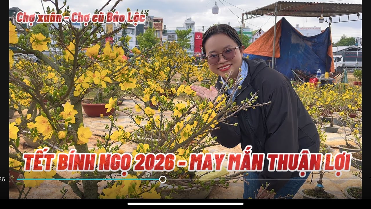Rực rỡ chợ hoa Tết ở Quê - Cầu Dừa Đủ Xoài Mai Đào Cúc đủ loại - Tết Bính Ngọ 2026
