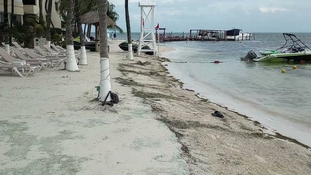The Truth about Occidental Costa Cancun Beach Resort. Cancun Mexico