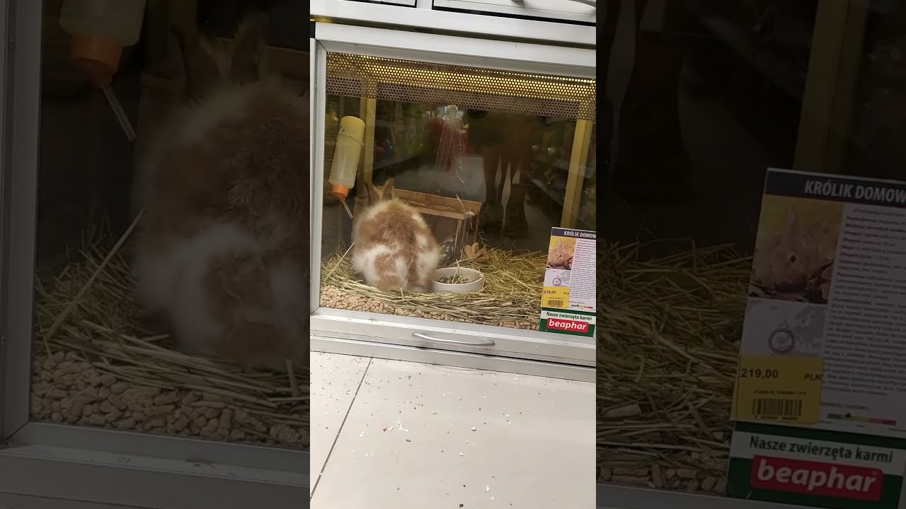 Zobaczcie dlaczego m&oacute;j mąż został wyrzucony ze sklepu zoologicznego