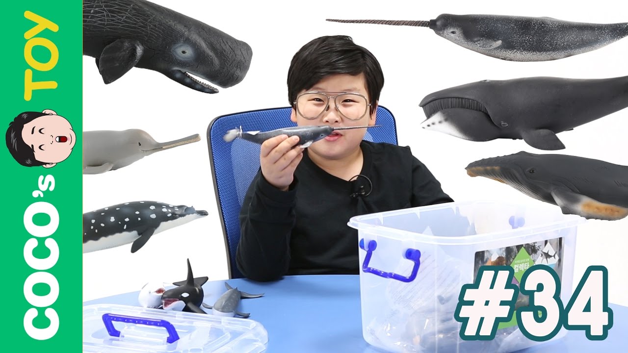 #34 고래와 돌고래가 싸우면 과연 누가 이길까?! 꼬꼬스토이 Whale vs Dolphin, whales mania , Collecta figures