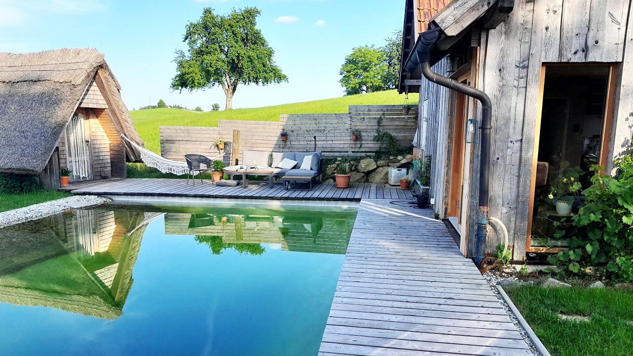Schwimmteich trotz steinigem Boden – 5 Tage, die alles verändert haben
