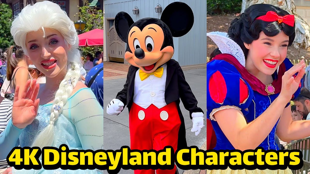 👑🐻 Disneyland Character Meet & Greets in 4K! Elsa, Mickey, Pooh, Tigger & More!