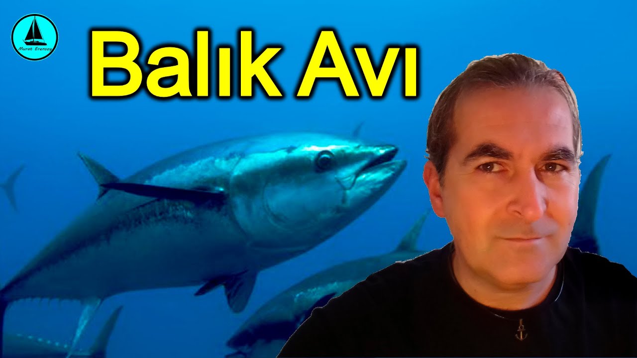 071 : Hangi balık nerede, nasıl avlanır ?