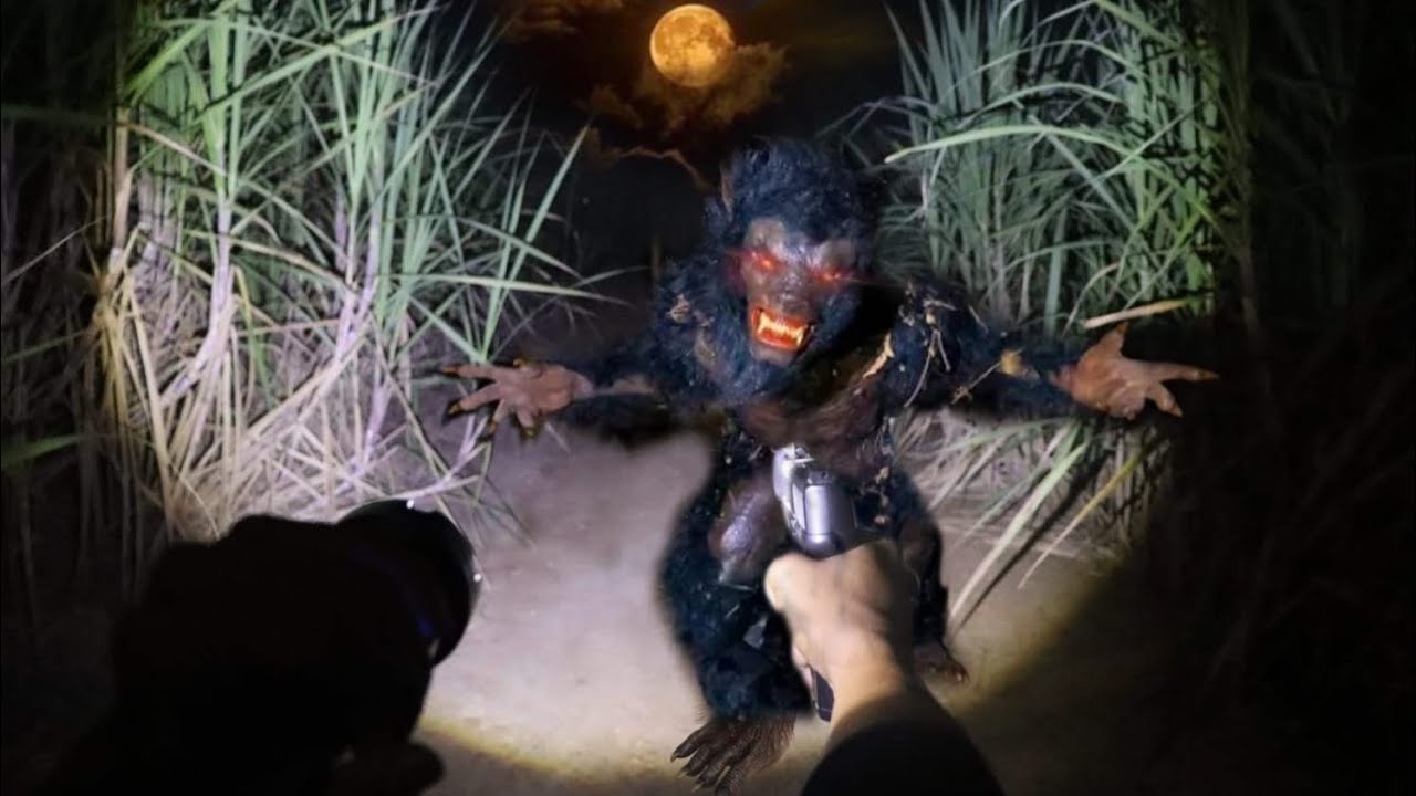 LOBISOMEM NOS ATACA EM PLENA MADRUGADA (folclore brasileiro) #werewolf #lobisome #lendas