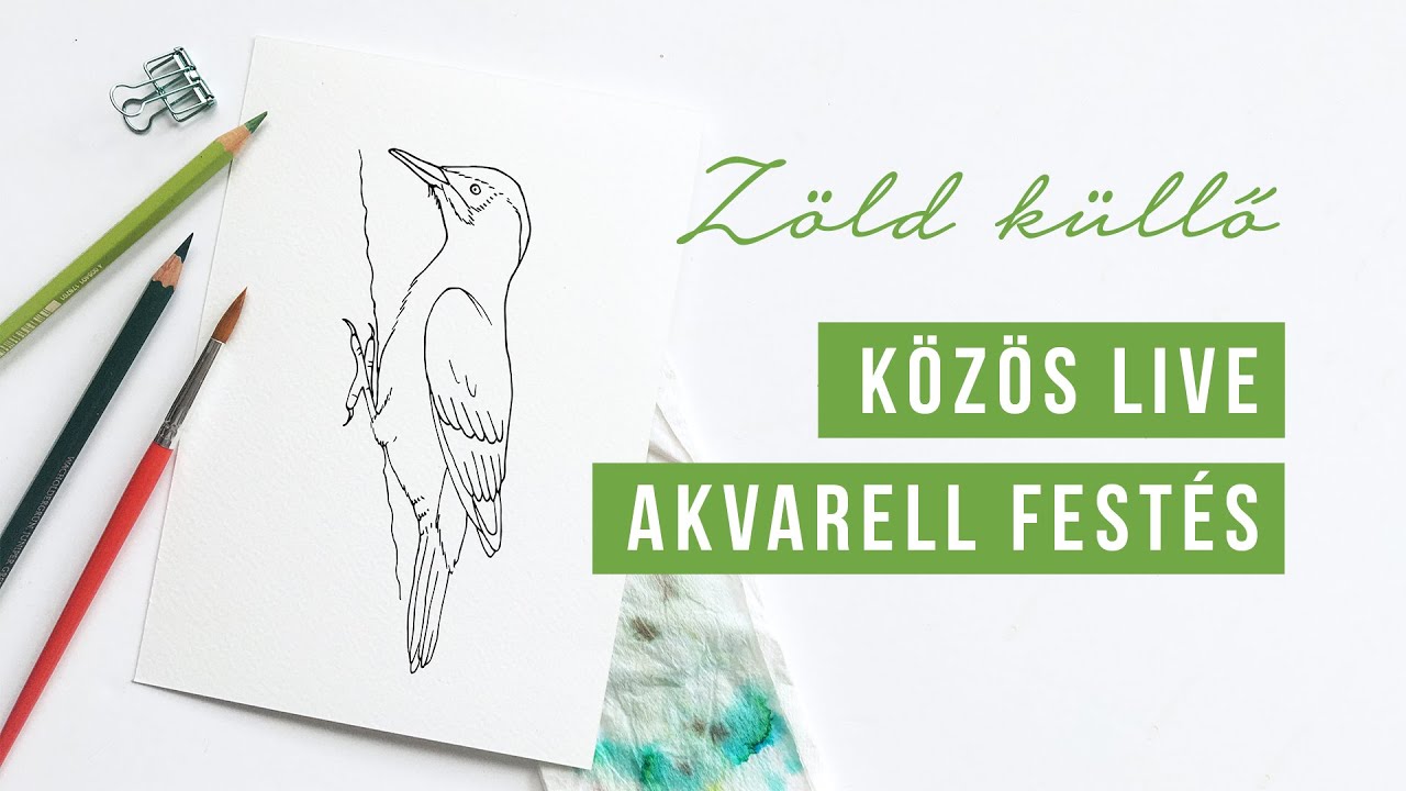 KÖZÖS FESTÉS - Zöld küllő - madár illusztráció | akvarell festés kezdőknek