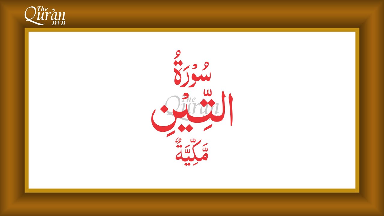 Surah 95. at-Tīn [THE FIG] Urdu Translation by Fateh Muhammad Jalandhri, 4K by The Quran DVD