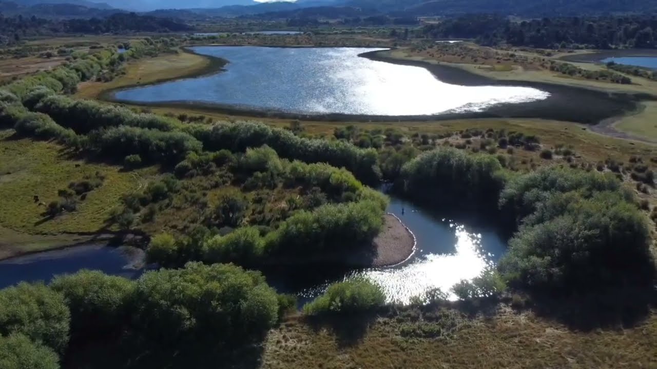Rio Pulmari, patagonia Argentina, truchas y drone
