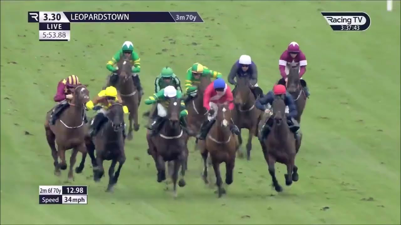 National Hunt Season Highlights 24/25 Chases