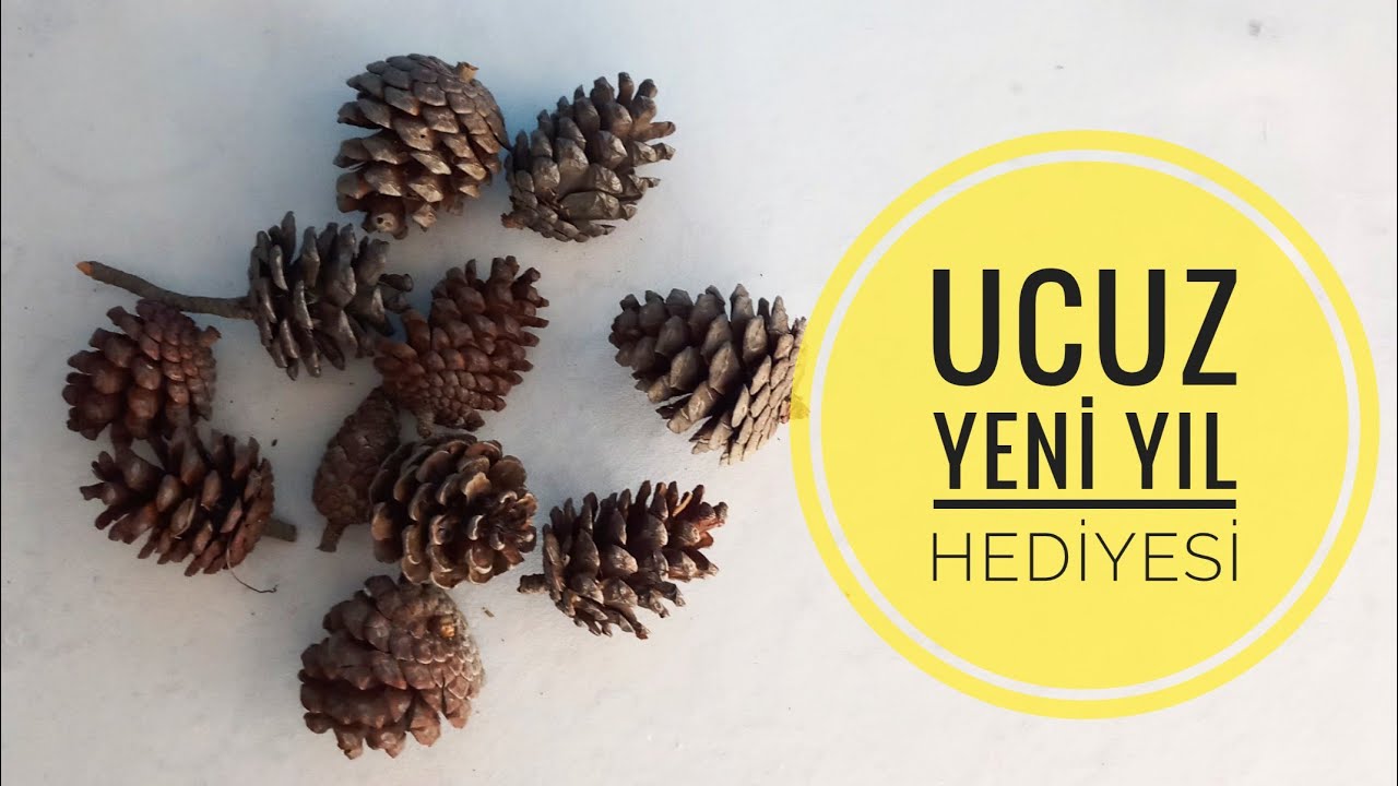 UCUZ VE EL YAPIMI YENİ YIL HEDİYESİ / GERİ DÖNÜŞÜM / DIY / KENDİN YAP / IDEA