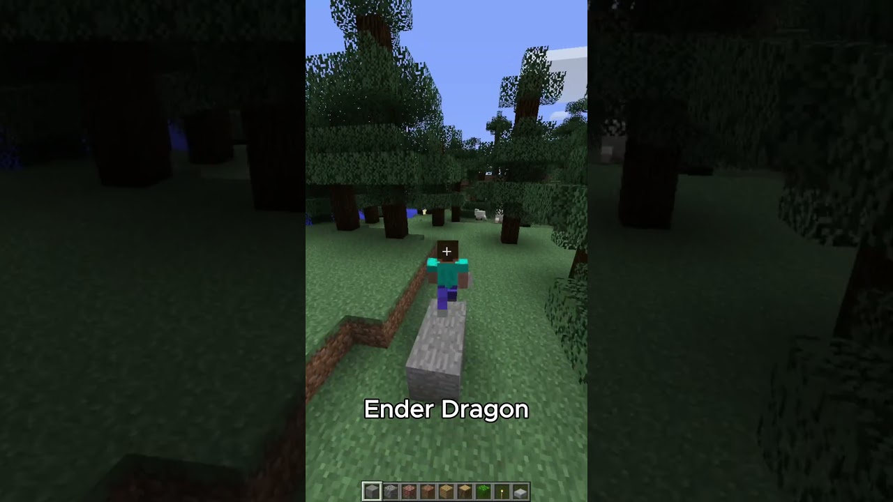 Ender Dragon'un Gerçek Adı? #minecraft #enderdragon #shorts