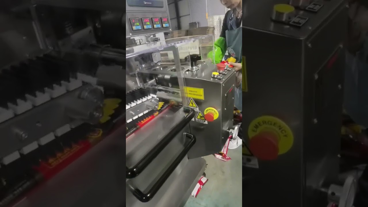 Dumplings automatic packaging machines