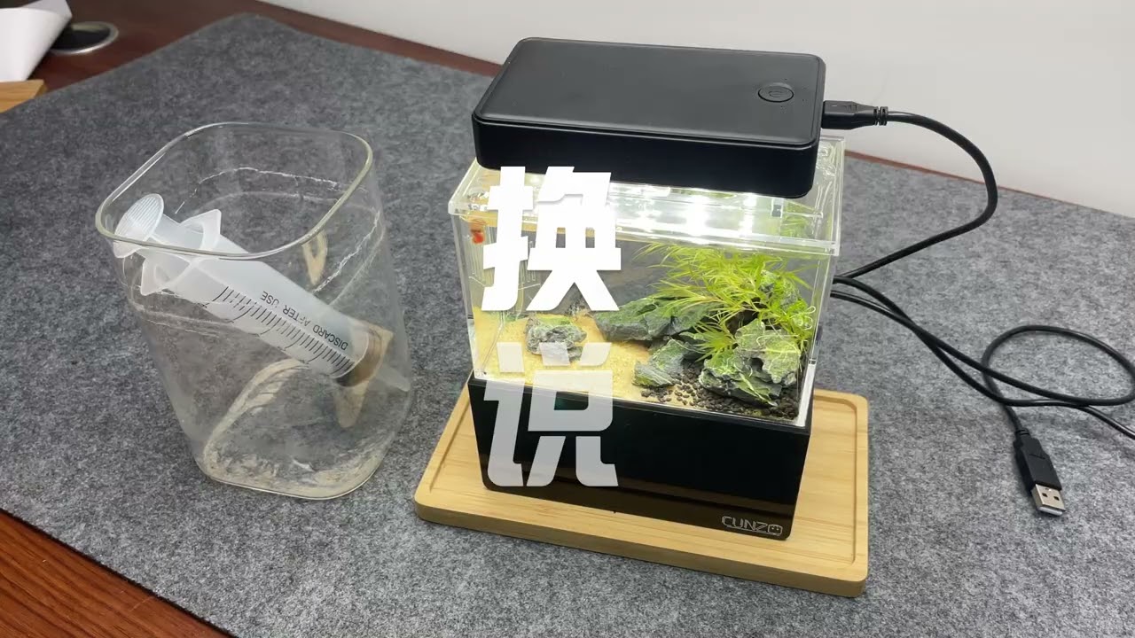 11月24日 魚缸清理示範說明